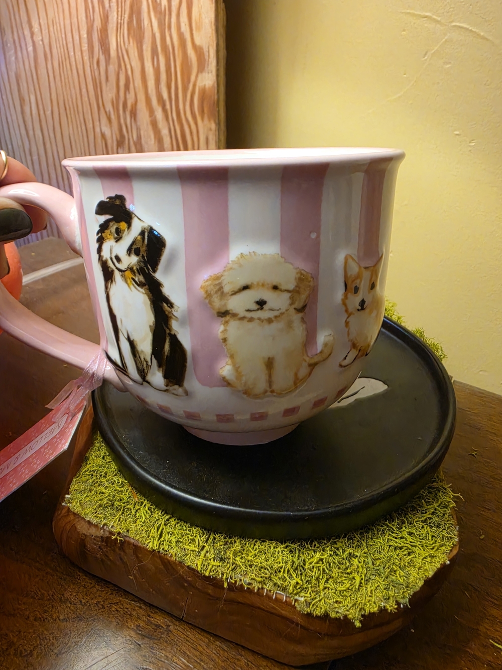 NWT Mellow & Mod Pink Striped Dog XL Mug 20oz